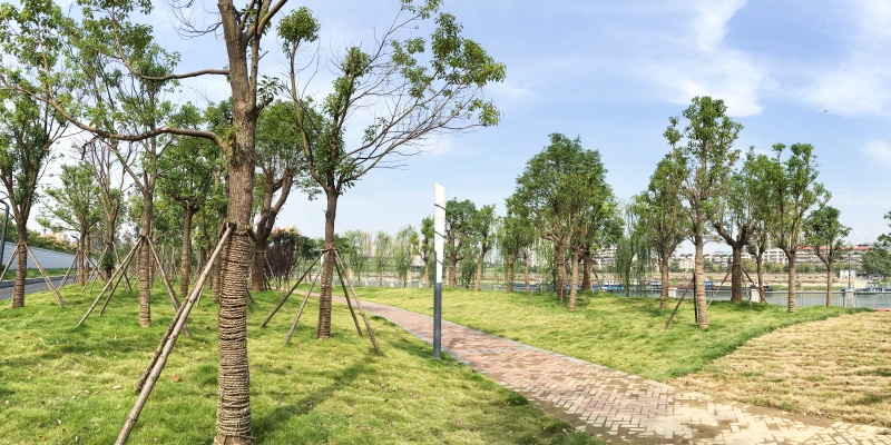 皇冠国际体育app(中国)官方网站-CROWN Sports