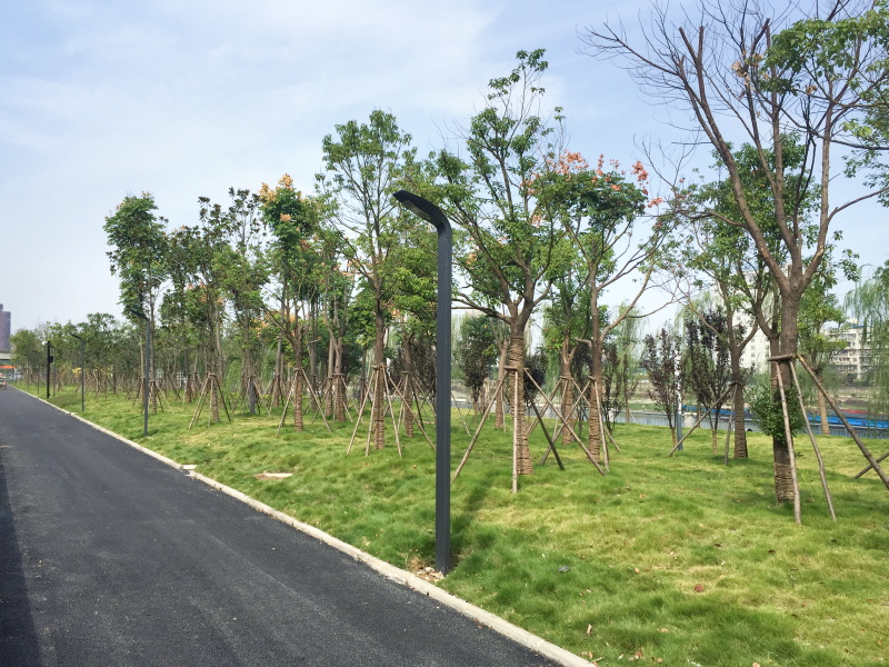 皇冠国际体育app(中国)官方网站-CROWN Sports