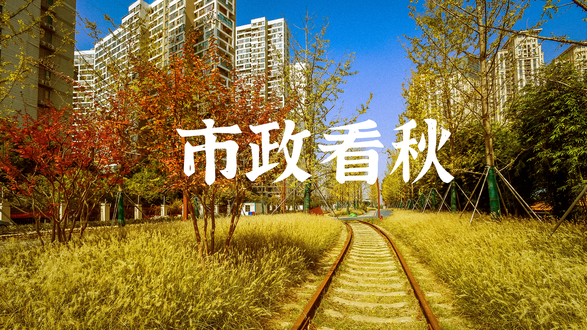 皇冠国际体育app(中国)官方网站-CROWN Sports