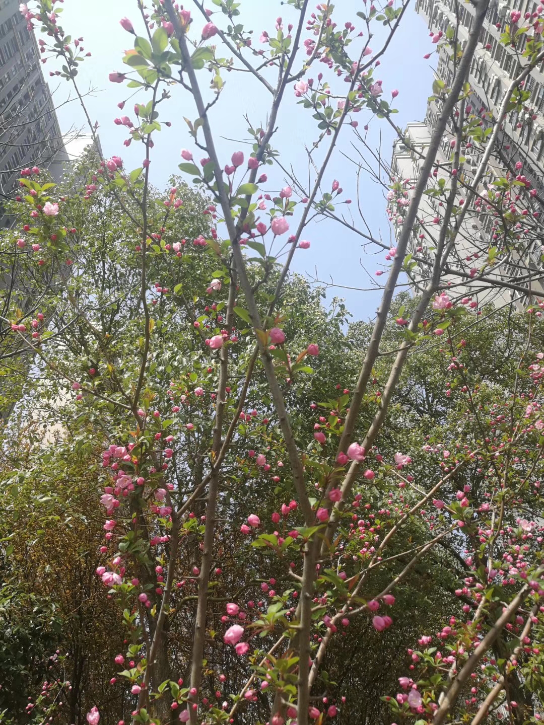 皇冠国际体育app(中国)官方网站-CROWN Sports